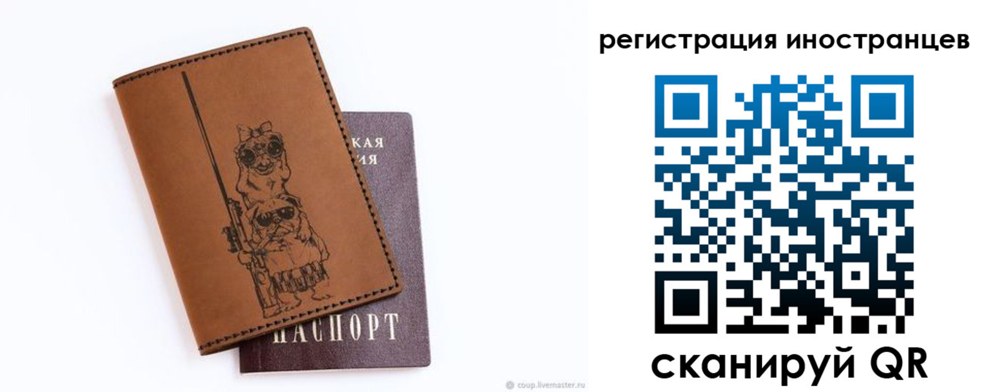 прописка гарантия в Краснознаменске